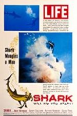 Watch Shark 9Movies