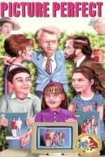 Watch Picture Perfect 9Movies