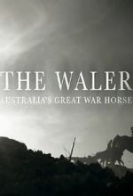 Watch The Waler: Australia\'s Great War Horse 9Movies