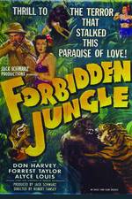 Watch Forbidden Jungle 9Movies