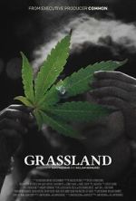 Watch Grassland 9Movies
