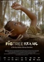Watch Fig Tree 9Movies