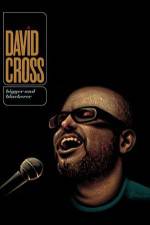Watch David Cross Bigger & Blackerer 9Movies
