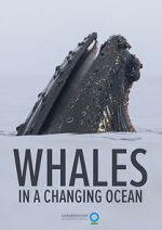 Watch Whales in a Changing Ocean (Short 2021) 9Movies