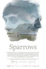 Watch Sparrows 9Movies
