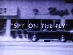 Watch Spy on the Fly (Short 1967) 9Movies