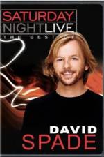 Watch Saturday Night Live The Best of David Spade 9Movies