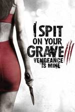 Watch I Spit on Your Grave 3 9Movies