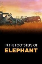 Watch In the Footsteps of Elephant 9Movies