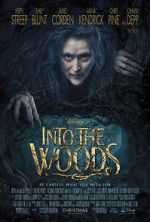Watch Into the Woods 9Movies
