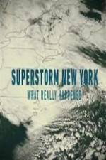 Watch Superstorm New York: What Really Happened 9Movies