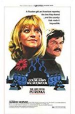 Watch The Girl from Petrovka 9Movies