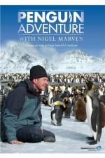 Watch Penguin Adventure With Nigel Marven 9Movies