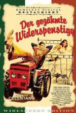 Watch The Taming of the Scoundrel 9Movies