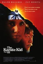 Watch The Karate Kid Part III 9Movies