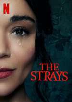 Watch The Strays 9Movies
