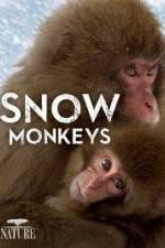 Watch Nature: Snow Monkeys 9Movies