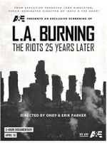 Watch L.A. Burning: The Riots 25 Years Later 9Movies