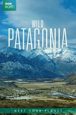 Watch Wild Patagonia 9Movies