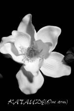 Watch Kataude 9Movies