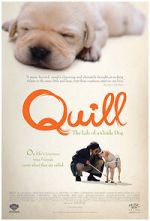 Watch Quill: The Life of a Guide Dog 9Movies