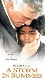 Watch A Storm in Summer 9Movies