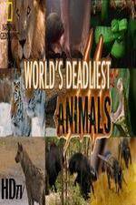 Watch National Geographic - Worlds Deadliest Animal Battles 9Movies