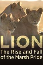 Watch Lion: The Rise and Fall of the Marsh Pride 9Movies