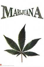 Watch Nederwiet De Moevie 9Movies