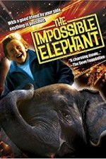 Watch The Incredible Elephant 9Movies