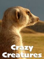 Watch Crazy Creatures 9Movies