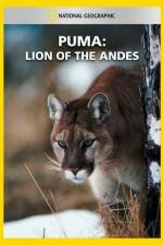 Watch National Geographic  Puma: Lion of the Andes 9Movies