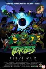Watch Teenage Mutant Ninja Turtles Turtles Forever 9Movies