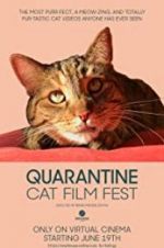Watch Quarantine Cat Film Fest 9Movies