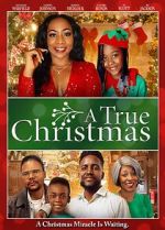 Watch A True Christmas 9Movies