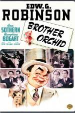 Watch Brother Orchid 9Movies