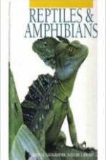 Watch Reptiles and Amphibians 9Movies