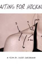 Watch Waiting for Hockney 9Movies