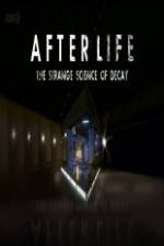 Watch After Life: The strange Science Of Decay 9Movies