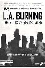 Watch LA Burning 9Movies