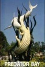 Watch Predator Bay 9Movies