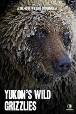 Watch Yukon\'s Wild Grizzlies 9Movies
