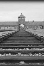Watch AUSCHWITZ: ORDERS AND INITIATIVES 9Movies