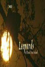 Watch National Geographic Wild - Leopards of Dead Tree Island 9Movies