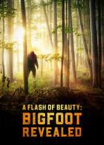 Watch A Flash of Beauty: Bigfoot Revealed 9Movies
