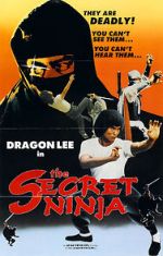 Watch Secret Ninja 9Movies