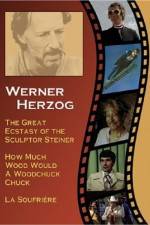 Watch Die groe Ekstase des Bildschnitzers Steiner 9Movies