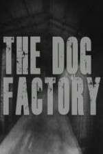 Watch The Dog Factory 9Movies