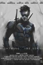 Watch Nightwing: The Series 9Movies