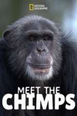 Watch Meet the Chimps 9Movies